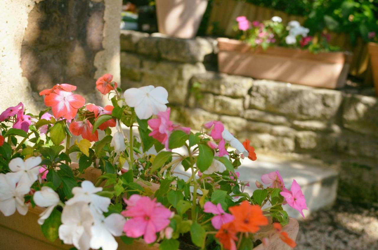 Le Mas De Roussillon Bed & Breakfast Roussillon  Exterior photo